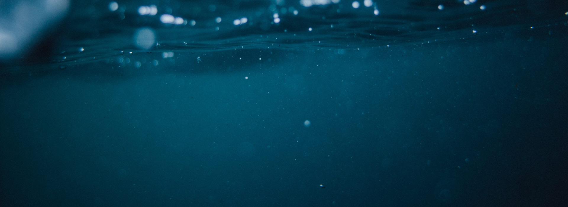 Bienvenidos a la Rockoladefreddy